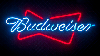 Between putting out fires and promoting fascism, Budweiser has had a wild few days